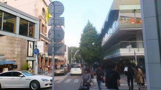 DSC_0512.jpg