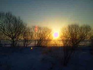 NEC_0127.jpg