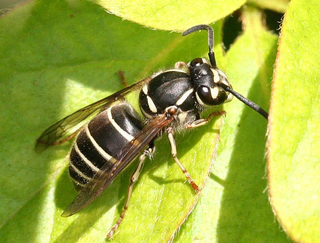 snapcrab_noname_2013731_212948_no00.jpg